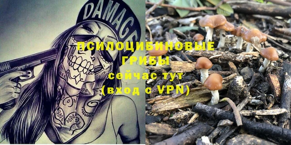 MESCALINE Арсеньев