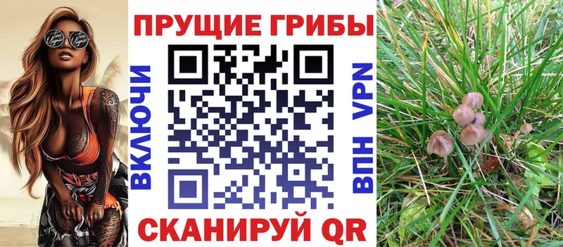 Галлюциногенные грибы прущие грибы  закладки  Дорогобуж 